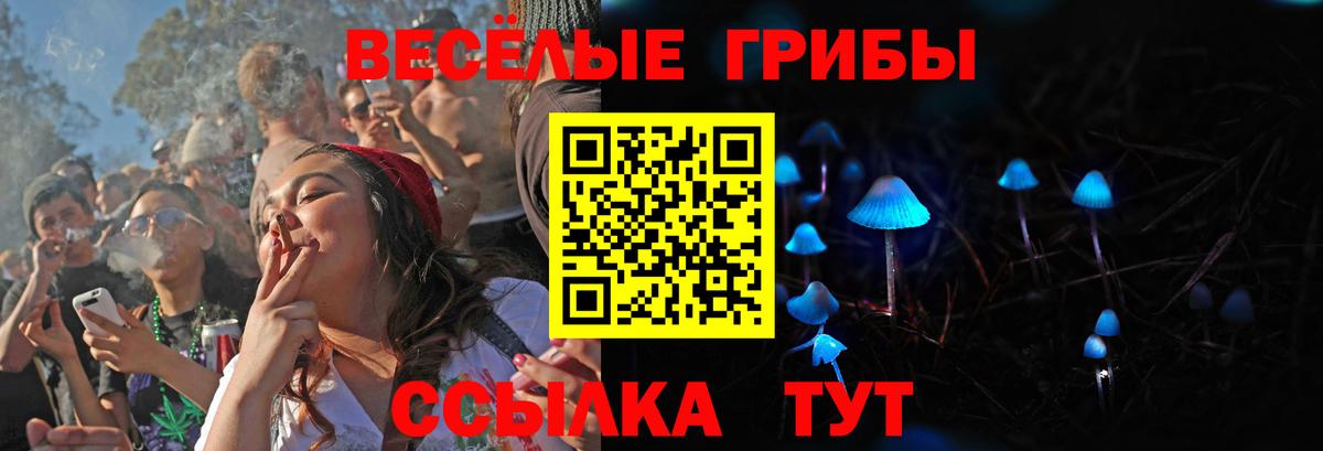 Галлюциногенные грибы Psilocybe  Вход с VPN  Псилоцибиновые грибы мицелий  Вязники 