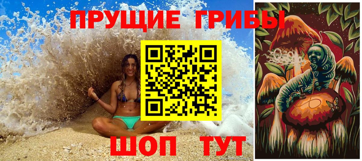 Галлюциногенные грибы Psilocybine cubensis Вязники